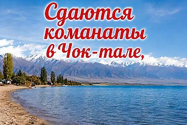 пансионат тынчтык: Ысык-Көлдө конок үйү, Чок-Тал, 4 орун, Жайкы сезон үчүн — 1