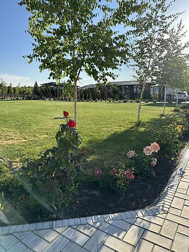 Иссык-Куль 2026: Коттедж, Палм Бич ЦО Palm Beach, Чок-Тал, Барбекю, Баскетбольная площадка, Детская площадка — 30