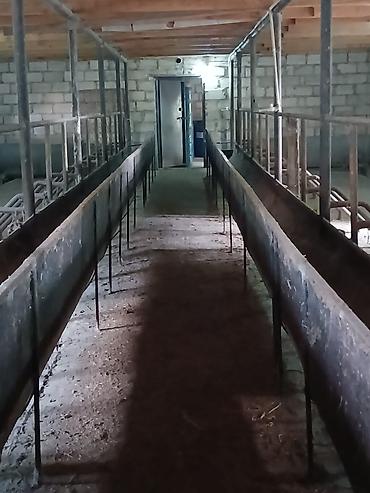 Torpaq sahələrinin satışı: Kənd təsərrüfatı — 8