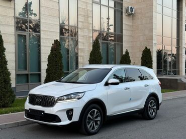 Kia: Kia Sorento: 2018 г., 2.2 л, Автомат, Дизель, Внедорожник