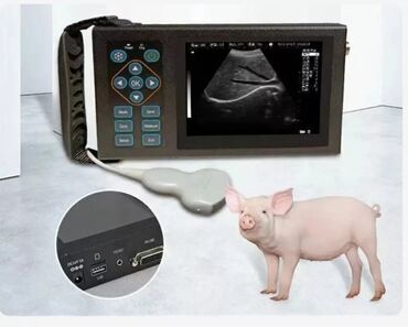 atman df 1300: Baytarlıq üçün portativ ultrasəs aparat - Heyvanlar üçün nəzərdə