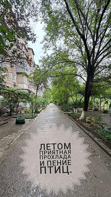 Продажа квартир: 3 комнаты, 63 м², 3 этаж — 6