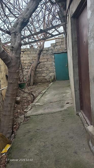 kiraye ev zabrat 1: Zabrat 1 otaqlı, 65 kv. m — 4