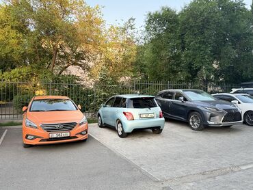toyota yaris цена: Toyota ist: 2003 г., 1.5 л, Автомат, Бензин, Хэтчбэк