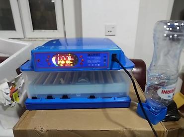 Kənd təssərüfatı avadanlığı: Inkubator inqibator inkibator inqubator incubator Ən Yeni Expert model — 2