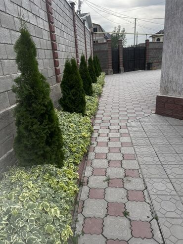 кызыл кошчу: Дом, 150 м², 4 комнаты, Собственник, Косметический ремонт