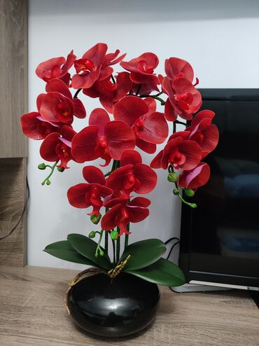 Декоративные цветы: Орхидея искусственная для декора в керамическом горшке Орхидея — 27
