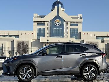 Lexus: Lexus NX: 2020 г., 2 л, Автомат, Бензин, Кроссовер — 4