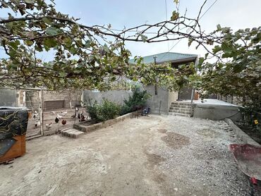 Həyət evləri və villaların satışı: Binə 4 otaqlı, 100 kv. m, Orta təmir -da lalafo.az — 16 Həyət evləri və villaların satışı: Binə 4 otaqlı, 100 kv. m, Orta təmir — 16