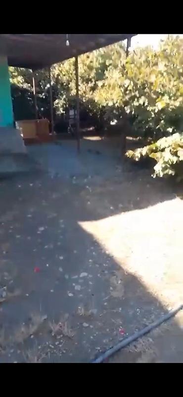 gədəbəydə satılan evlər: Həyətyanı sahəsi olan kənd evi Qəbələ rayonu Savalan kəndi həm fındıq — 3