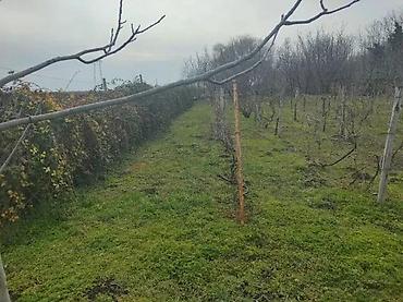 kupujem prodajem nekretnine vrsac: MAĐARŠOR, VRBAS | Istaknute informacije Površina 60 m Broj soba 4.0 — 5
