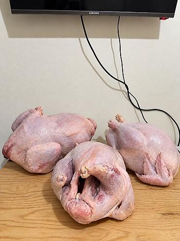 купить индюка мясо: Домашний индюк — натуральный продукт без химии - Целые тушки индюка — 3