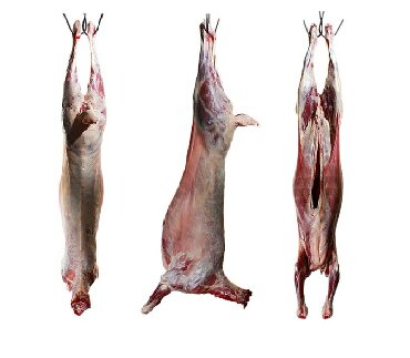 соевое мясо оптом: Мясо баранина,баран,устукан,козу,смолим голову,мытые