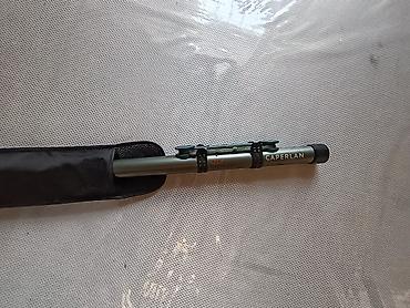 beluga balığı: 🎣 Caperlan LAKESIDE 500 QLF – teleskopik balıqçı qamışı Fransız brendi — 9