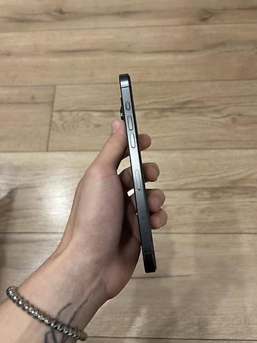 pixel pro: IPhone 15 Pro Max, цвет «Чёрный титан» - Корпус из титана с матовым — 2