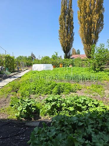 Продажа коттеджей и домов: ‼️СРОЧНО‼️ Цена снижена!!! В продаже 2-х этажный дом 2020г с УЧАСТКОМ — 12