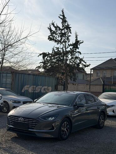 Hyundai: Hyundai Sonata: 2021 г., 2 л, Автомат, Гибрид, Седан — 11