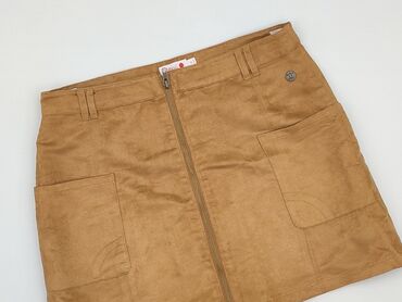 bluza z jamnikiem: Spódniczka, 16 lat, 170-176 cm, stan - Bardzo dobry