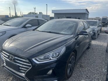садово огородный рыхлитель крот: Hyundai Sonata: 2019 г., 2 л, Автомат, Бензин