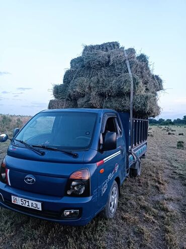 спб компания бишкек: Переезд, перевозка мебели, По региону, По городу, с грузчиком