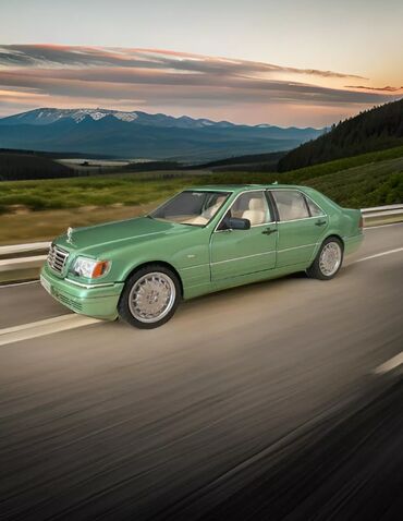 Игрушки: Цвет зеленый Общие характеристики Количество предметов в упаковке	1 — 11