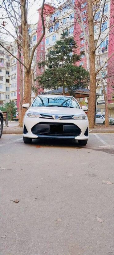 Toyota: Toyota Corolla: 1.5 l | 2020 il Universal — 1