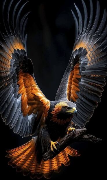 Həyət evləri və villaların satışı: 6 otaqlı, 140 kv. m, Kredit yoxdur, Orta təmir -da lalafo.az — 28 Həyət evləri və villaların satışı: 6 otaqlı, 140 kv. m, Kredit yoxdur, Orta təmir — 28