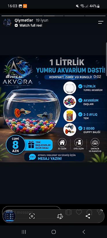skat balığı: Yumru akvarium, Balıqlarla birlikdə, 1 l — 2