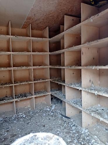 qus iran: Quşxana satılır içinin xanələri səliqəlidir 90 dənə xanəsi var — 4