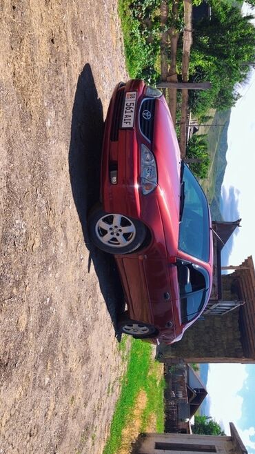 обмен доплачу: Toyota Avensis: 2001 г., 1.8 л, Механика, Газ, Седан