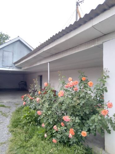 Günlük kirayə evlər: 150 kv. m, 5 otaqlı — 6