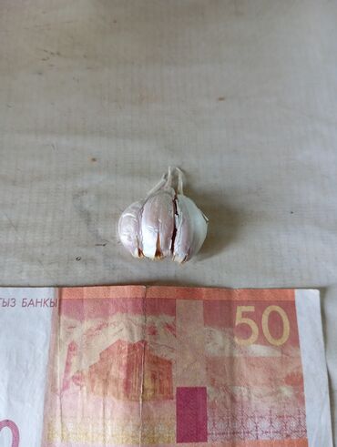 амвей чеснок от глистов цена: Чеснок белый 50с/кг