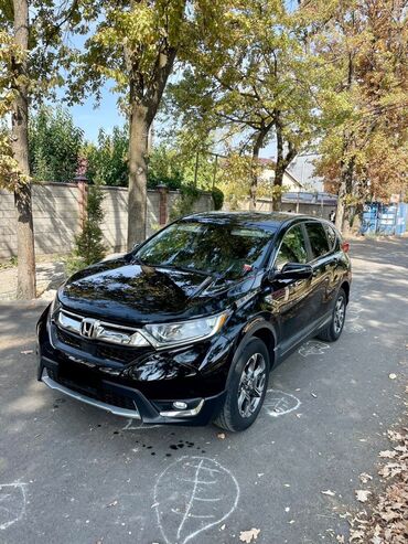 honda вич: Honda CR-V: 2019 г., 1.5 л, Вариатор, Бензин, Кроссовер