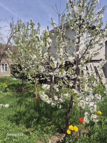 Продажа домов: Дом, 160 м², 8 комнат, Собственник, ПСО (под самоотделку) — 27