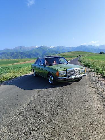 мерседес бенц 123: Mercedes-Benz W123: 1982 г., 2.4 л, Механика, Дизель, Седан — 2