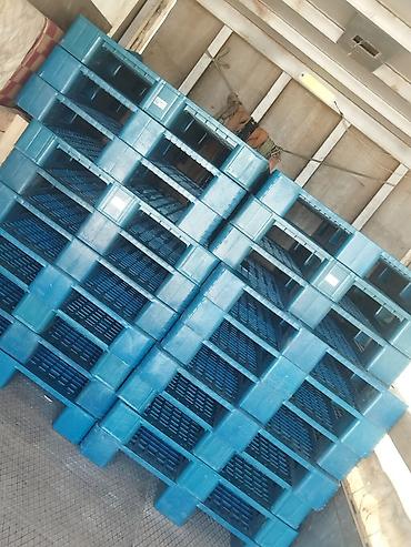 palet nədir: Pallet, 800 х 1200 sm — 1