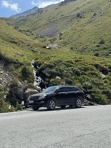rx 2017: Lexus RX: 2004 г., 3.3 л, Кроссовер — 1