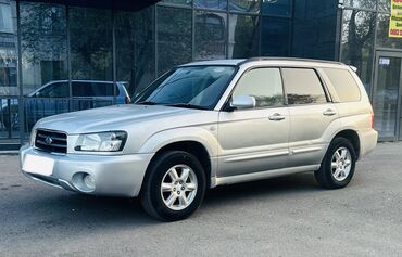 дизель автомат: Subaru Forester: 2003 г., 2 л, Автомат, Бензин, Универсал