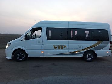 Наклейки и эмблемы: Наклейка для автомобилей любой сложности дублирующие номера для — 17