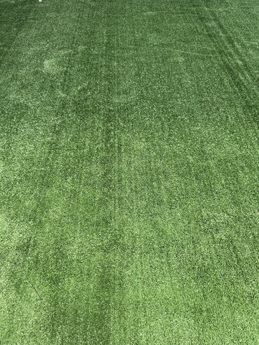 Bağ və bostan üçün digər məhsullar: Yasil hasarlarin ve suniqazonarin topdan ve perekende satisi endirimer — 9