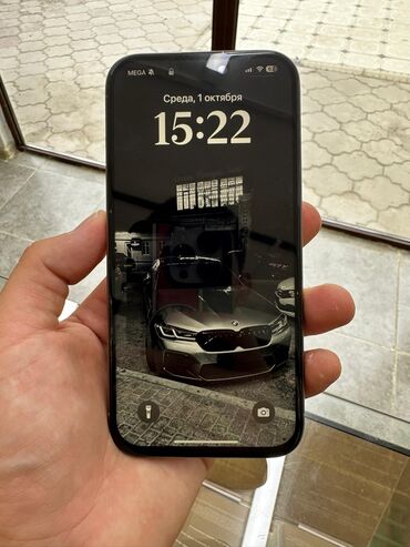 наушники с костной проводимостью бишкек: IPhone 15 Pro, 256 ГБ, Natural Titanium, Коргоочу айнек, Каптама, Куту, 87 %