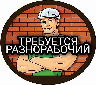 экскаватор работа: Требуется Разнорабочий, Оплата: Ежедневно, Без опыта — 1