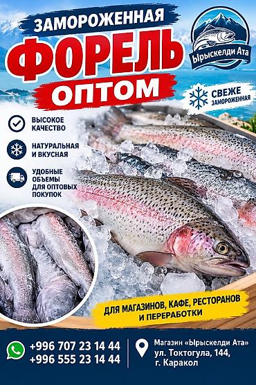 аквариумные рыбки каталог цены: Замороженная форель оптом. Подходит для магазинов, кафе, ресторанов и — 1
