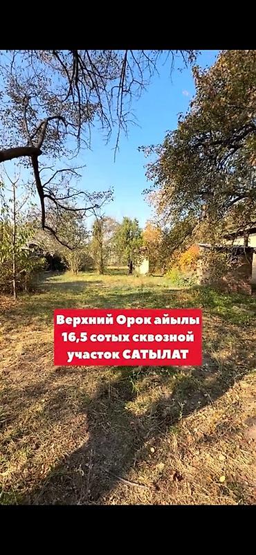 срочна продам: 16 соток — 7