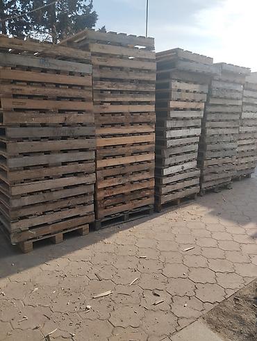 paddon palet: Pallet, 1000 х 1200 sm — 1
