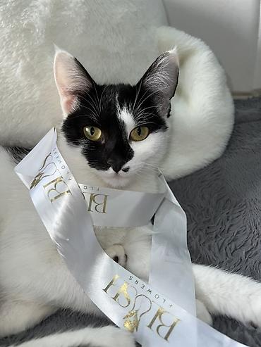 каричневый кофта рубашка: Домашняя одежда, Свитшот, Трикотаж, Зима — 2