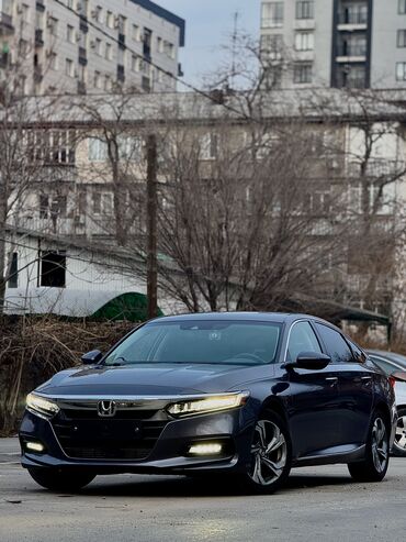 Honda: Honda Accord: 2019 г., 1.5 л, Типтроник, Бензин, Седан — 1