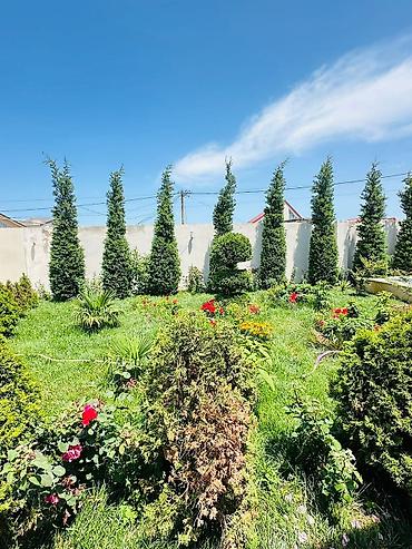 Günlük kirayə evlər: Bağ evi kirayə verilir, Mərdəkan Mərdəkanda yerləşən isti, hovuzlu bağ — 4