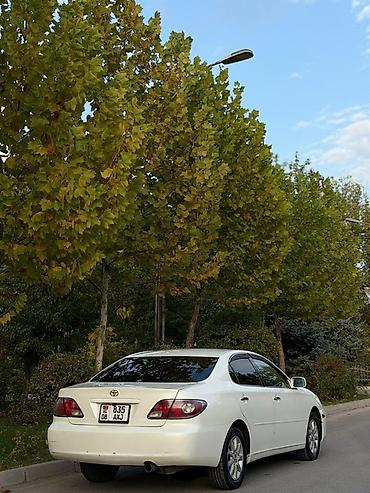 Продажа авто: Toyota Windom: 2003 г., 2.4 л, Автомат, Бензин, Седан — 5