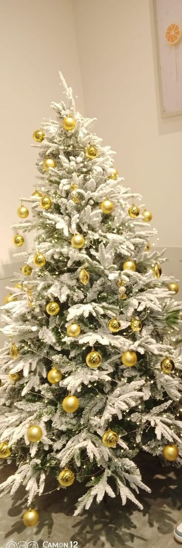 купить живую елку в баку: Qar effektli bəzədilmiş Yeni il şam ağacı - Tip: Qarla örtülü lalafo.az -da купить живую елку в баку: Qar effektli bəzədilmiş Yeni il şam ağacı - Tip: Qarla örtülü